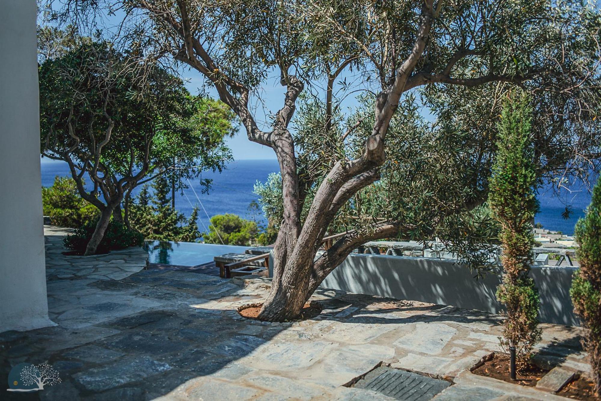 Zen Blue Mills Bed & Breakfast Koundouros ภายนอก รูปภาพ